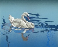"Resting Swan"