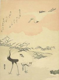 Cranes at Waka-no-ura
