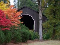 Drain Bridge