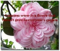Thought for the day - redux
