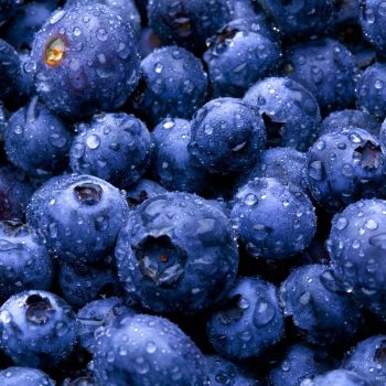 Blueberries...oh my!