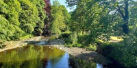 By the river
