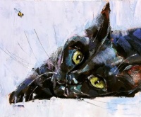 Black Cat - Zhanna Kan