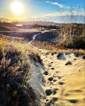 Coyote Trail through the Dunes