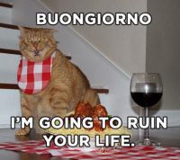 You've Been Warned ...