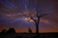 Star Trails 45