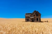 An abandoned home in the middle of a wheat field