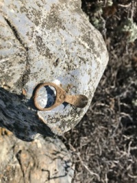 Relic