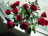 Roses for You