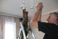IZ HELPEN MAW DADDY!...