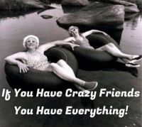 Crazy Friends Anyone?