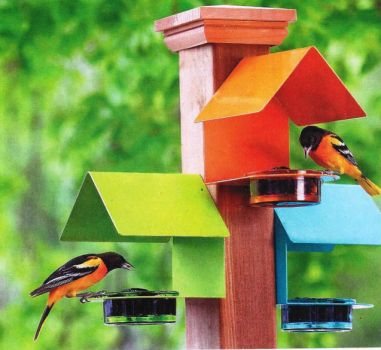 Solve Birds Baltimore Orioles Feeders Jigsaw Puzzle Online With