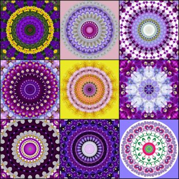 390 purple collage small