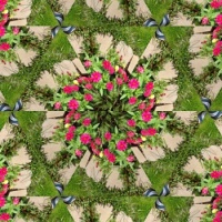 Kaleido