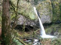 Ponytail Falls