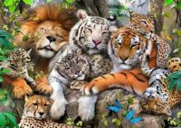The Cats Have It!!!!