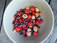 Berries from my garden 2
