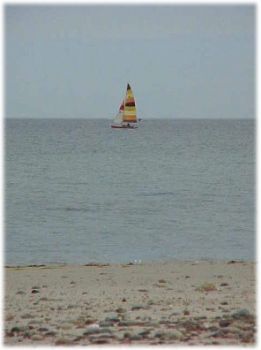 sailing in Cape Cod