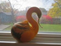 Our Pet  ..... Gourdy