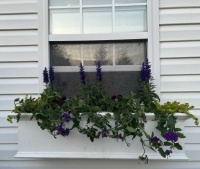New window flower box