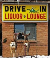"Hey deer, care for a beer?"