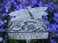 Dragonfly crossing