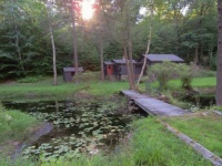 The pond is drying up.