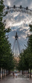 london-eye-vertical-panorama-matt-malloy
