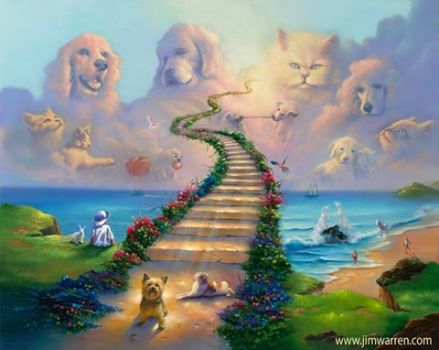 doggie heaven