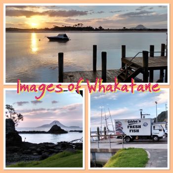Whakatane, NZ ..Evening Stroll