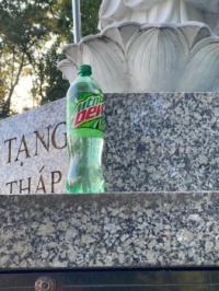 mountain dew