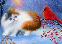 Persian kitten and cardinal.