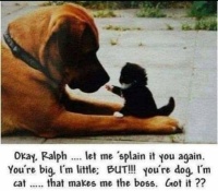 You tell him little one.