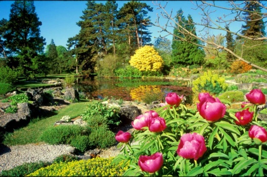 Botanical Gardens (#1)