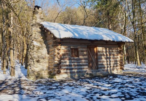 A small, log cabin in the woods . .