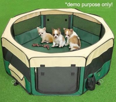 chihuahua playpen