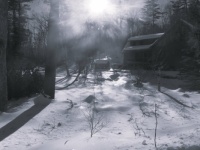 winter