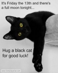 Friday the 13th and full moon black cat