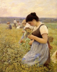 "Women in the Fields"