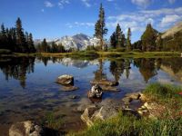 Yosemite National Park, California