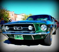 Mustang; Steamboat Springs, CO 06/2013
