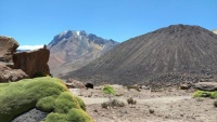 Chachani   Peru 2024