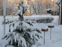 Winter in Sweden 3