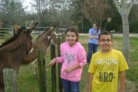 Having fun with the donkeys!