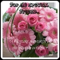 FLOWERS FOR MY FRIEND...ANN...WE LOVE YOU!!! 