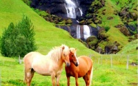 Waterfall for the Ponies