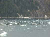 Ice Flows, Tracy Arm, Alaska