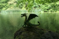 Little Dragon Challenge XV