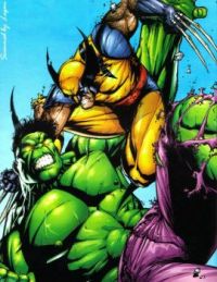 Wolverine Vs. Hulk