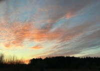 Sunset over the woods